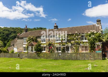 Pretty rose bedeckten Steinhäusern im Sommer Sonnenschein, Hutton Le Hole, der North Yorkshire Moors, England. Stockfoto