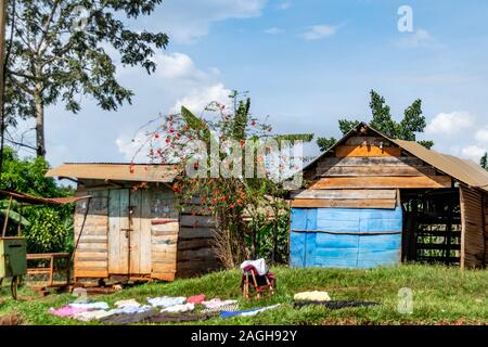 Kleidung trocknen auf Rasen im Wohngebiet von Iganga, Uganda, Ostafrika November 2019 Stockfoto