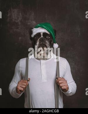 Französische Bulldogge hund Kopf Portrait mit grüner Mütze auf den Körper eines Mannes mit Klammern. Surrealismus Weihnachten Konzept. Stockfoto