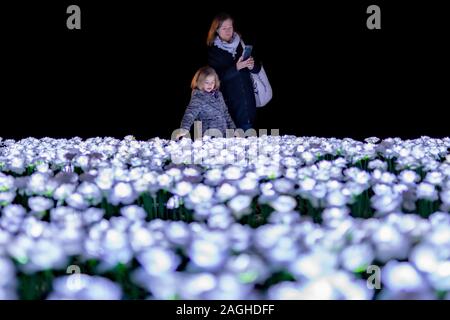 London, Großbritannien. Dezember, 2019 19. Je nach Garten in Grosvenor Square, Mayfair. Mit Tausenden leuchtenden weißen Rosen für Weihnachten beleuchtet, sind die Besucher zu "Pflanze" eingeladen, eine Seide Rose in Erinnerung an einen geliebten Menschen. Je nach Garten hat für 27.000 Rosen und ist als irgendwo für Londoner Freunde und Verwandte zu erinnern diese Weihnachten bestimmt. Credit: Guy Corbishley/Alamy leben Nachrichten Stockfoto