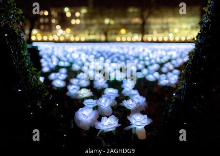 London, Großbritannien. Dezember, 2019 19. Je nach Garten in Grosvenor Square, Mayfair. Mit Tausenden leuchtenden weißen Rosen für Weihnachten beleuchtet, sind die Besucher zu "Pflanze" eingeladen, eine Seide Rose in Erinnerung an einen geliebten Menschen. Je nach Garten hat für 27.000 Rosen und ist als irgendwo für Londoner Freunde und Verwandte zu erinnern diese Weihnachten bestimmt. Credit: Guy Corbishley/Alamy leben Nachrichten Stockfoto