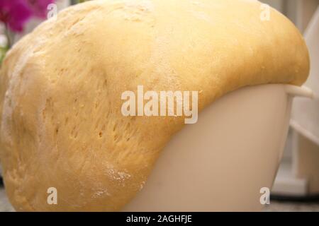 Gestiegen Hefe Teig in der Schüssel für die hausgemachten Krapfen österreichischen Faschingskrapfen für die Zubereitung von süßen Krapfen gefüllt mit marillenmarmelade Nahaufnahme Stockfoto