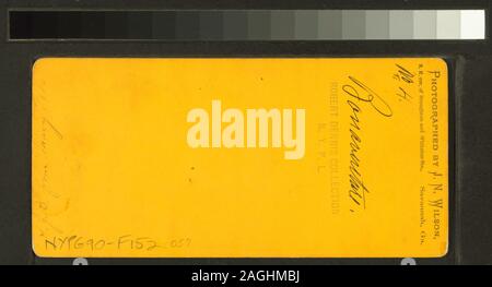 Live Oak Avenue im Bonaventure Live Oak Avenue im Bonaventure.; Live Oak Avenue im Bonaventure.; Stockfoto