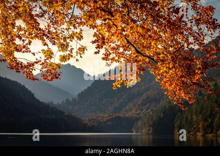 Herbst Farben in einer kleinen deutschen Stadt Hohenschwangau Stockfoto