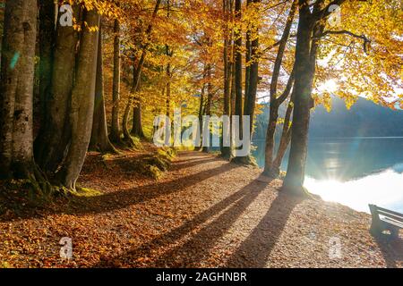 Herbst Farben in einer kleinen deutschen Stadt Hohenschwangau Stockfoto