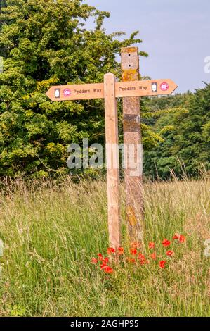 Mohn um ein Zeichen für Peddar's Weg lange Strecke Wanderweg und die Römerstraße in Norfolk. Stockfoto