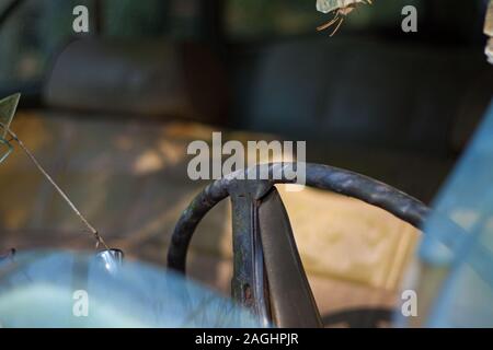 Auf der Suche durch die defekte Windschutzscheibe von einem verlassenen Auto. Stockfoto