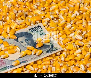 Japan 1000 Yen Rechnung mit Maiskörner umgeben. Konzept von Japan und den Vereinigten Staaten von Amerika, Tarife, Handelsabkommen, commodity Markt Preise Stockfoto