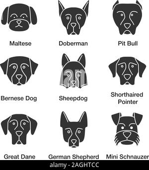 Hunde Rassen Glyphe Symbole gesetzt. Malteser, Dobermann, Pit Bull, Berner Hund, Schäferhund, Kurzhaar Pointer, Deutsche Dogge, Deutscher Schäferhund, Mini Schnauzer. Sil Stock Vektor