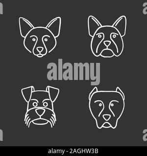 Hunde Rassen chalk Symbole gesetzt. Border Collie, Französische Bulldogge, Zwergschnauzer, Deutsch Kurzhaar Pointer. Isolierte vektor Tafel Abbildungen Stock Vektor