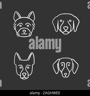 Hunde Rassen chalk Symbole gesetzt. Yorkshire Terrier, Labrador Retriever, Schäferhund, Dackel. Isolierte vektor Tafel Abbildungen Stock Vektor