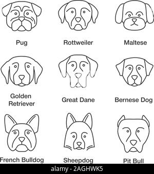 Hunde Rassen lineare Symbole gesetzt. Thin Line Kontur Symbole. Mops, Rottweiler, der maltesischen, der Golden Retriever, Deutsche Dogge, Berner Hund, Schäferhund, Bulldogge, Pit b Stock Vektor