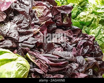 USA, Boston - Januar 2018 - Gemischter Kopfsalat und Kohl auf Anzeige in den lokalen Markt Stockfoto
