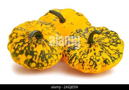 Pattypan squash Pfad isoliert auf weißem Stockfoto