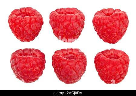 Himbeere Pfad isoliert auf weißem Stockfoto
