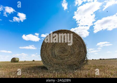 Low Angle Shot eines Ballen Heu in der Landschaft, mit strahlend blauen Himmel im Hintergrund und Platz für Kopieren im oberen Teil. Stockfoto