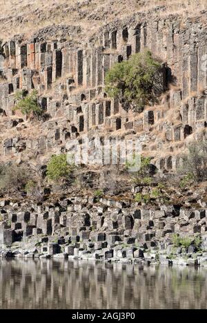 Basaltsäulen Formation entlang von Idaho unteren Salmon River. Stockfoto