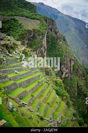 Die Terrassen- oder landwirtschaftlichen Plattformen des Inkareiches, Machu Picchu Cusco Stockfoto