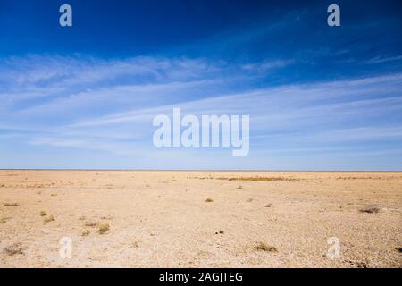 Kalahari Wüste, in der Nähe von Rakops, Central District, Botswana, Südafrika, Afrika Stockfoto