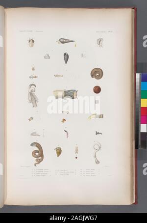 Mollusques: 1. 2. Pyramidelle tachetée, 3.- 7. Pyramidelle ventrue. N.; 8.-10. Vermet grand Rohr; 11.-12. Vermet élégant. N.; 13.- 15. Vermet Géant. N.; 16. 17. Vermet de la Nouv-Zélande. N.; 18. Vermet de Tonga. N.; 19. Vermet réticulé. N.; 20.-23. Vermet rose. N.; 24.-26. Vermet carèné. N.; 27.-28. Vermet dentifère.; Mollusques: 1. 2. Pyramidelle tachetée, 3.- 7. Pyramidelle ventrue. N.; 8.-10. Vermet grand Rohr; 11.-12. Vermet élégant. N.; 13.- 15. Vermet Géant. N.; 16. 17. Vermet de la Nouv-Zélande. N.; 18. Vermet de Tonga. N.; 19. Vermet réticulé. N.; 20.-23. Vermet rose. N.; 24.- Stockfoto