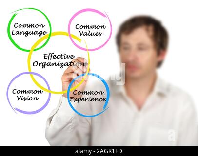 Diagramm der effektiven Organisationen Stockfoto
