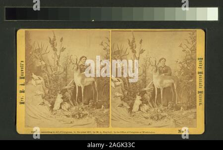 Frau M A Maxwell und einige der Tiere in Ihrem Rocky Mountain Museum Frau M. A. Maxwell und einige der Tiere in Ihrem Rocky Mountain Museum.; Frau M. A. Maxwell und einige der Tiere in Ihrem Rocky Mountain Museum. Stockfoto