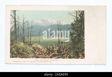 Postkarte Serie Anzahl: 5138 1901-1902. Enthalten gelegentliche Reprints aus der Serie 1000. Blick auf Tannen auf Rainbow Ridge, einem Tal, und die schneebedeckten Gipfel des Mount Shasta, Siskiyou County, Kalifornien.; Mt. Shasta, Mt. Shasta, Calif. Stockfoto