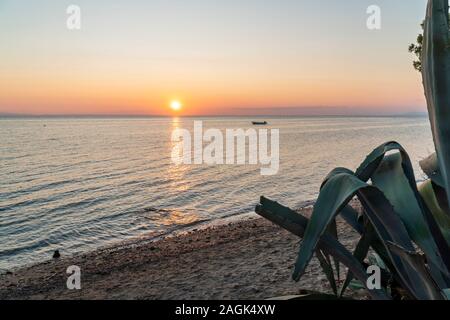 Sonnenuntergang an der Küste der Chalkidiki, Griechenland. Aloe Vera Pflanze im Vordergrund und ein Boot im Meer. Stockfoto