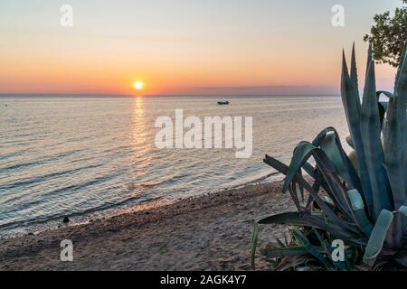 Sonnenuntergang an der Küste der Chalkidiki, Griechenland. Aloe Vera Pflanze im Vordergrund und ein Boot im Meer. Stockfoto