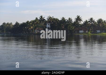 Kerala Backwaters. Baum Reflexionen im Klaren backwater in Kerala, Indien Stockfoto