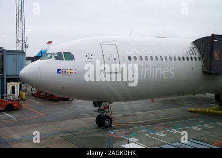 Kopenhagen, Dänemark - Nov 24th, 2018: SAS Airbus A340 am Gate des Flughafen Kopenhagen Kastrup vor der Abreise in die USA Stockfoto