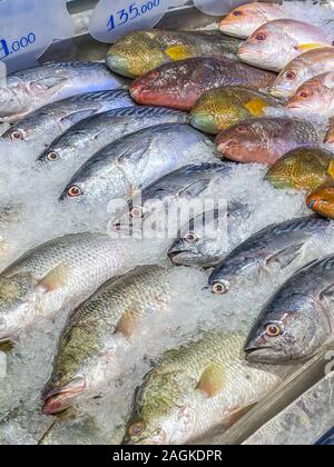 Sortierte Fische in einem guten Anordnung Verkauf im Supermarkt Stockfoto