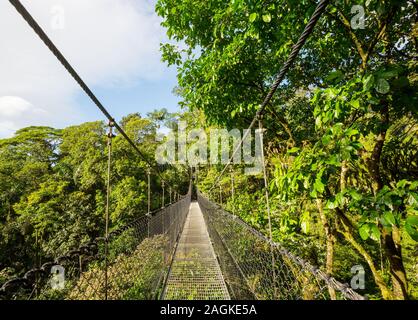 Übergabe Brücke im grünen Dschungel, Costa Rica, Mittelamerika Stockfoto