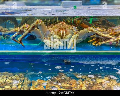 Leben king crab im Tank an Seafood Market Stockfoto