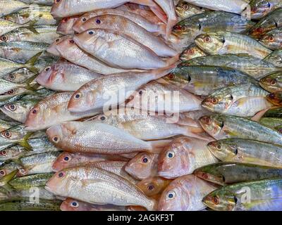 Sortierte Makrele Fisch zum Verkauf an Meeresfrüchte Zähler im Supermarkt Stockfoto
