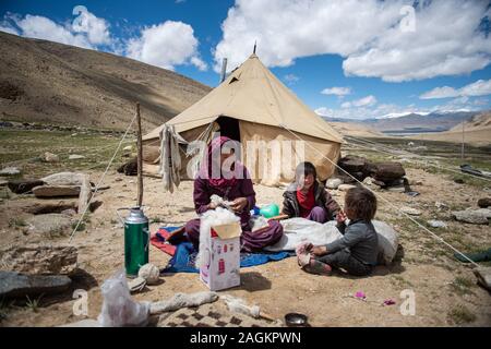 Frau kardierte Wolle in Ladakh Stockfoto