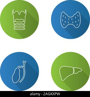Innere Organe flache Lineare lange Schatten Symbole gesetzt. Kehlkopf, Schilddrüse, Gallenblase, Leber. Vektor Kontur Abbildung Stock Vektor