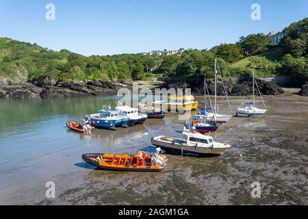 Boote im äußeren Hafen, Ilfracombe, Devon, England, Vereinigtes Königreich Stockfoto