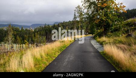 Ein schmalen Feldweg verläuft durch Plantage Wälder im Strathellen Wood über Plockton in den westlichen Highlands von Schottland. Stockfoto