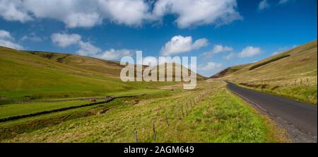Eine Landstraße schlängelt sich durch Weide Felder in der Moorfoot Hills in Schottlands Southern Uplands. Stockfoto