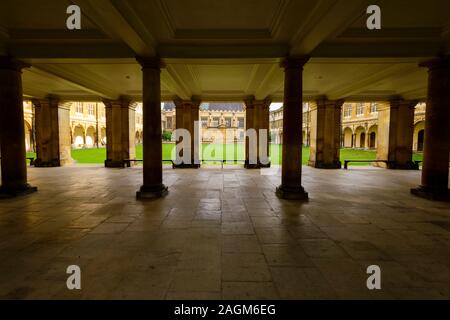 Der Zaunkönig Bibliothek des Trinity College in Cambridge, Cambridgeshire, England, UK Mark Bullimore Fotografie 2019 Stockfoto