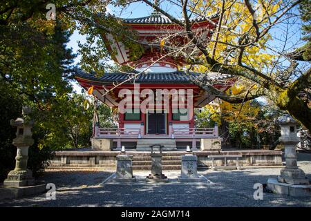 KYOTO, Japan - 17. November 2019: Chionin ist der Kopf, der Tempel des Jodo Sekte des japanischen Buddhismus. Es hat geräumige und große Gebäude Stockfoto