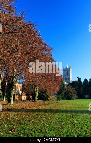 Herbst Blick über New Park, Melton Mowbray, Leicestershire, England; Großbritannien; UK Stockfoto