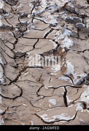 Getrockneter gerissener Schlamm mit Vogelfußabdrücken Stockfoto