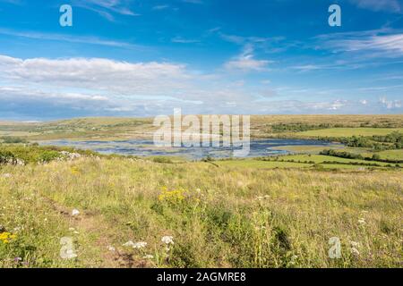 Die Carran-Depression, eine gewaltige Doline- oder Karstdepression mit einem Turlough (ephemeraler See), Dem Burren, County Clare, Irland Stockfoto