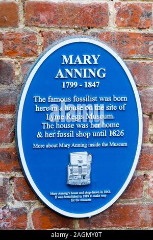 Blau Gedenktafel zur Erinnerung an die Geburt des fossilen Sammler Mary Anning in Lyme Regis, Dorset, England, Großbritannien Stockfoto