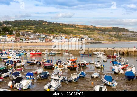 Der Hafen von Lyme Regis bei Ebbe an der Jurassic Coast, Dorset, England, Großbritannien Stockfoto