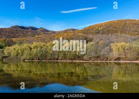 Blick auf ruhigen Bergsee im Herbst mit leuchtend gelben Bäume am Ufer irgendwo im Kaukasus Stockfoto