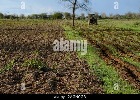 Sambia, Mazabuka, mittlerer Bauer Praxis Erhaltung der Landwirtschaft, Ripping Furchen mit John Deere Traktor Baumwolle Samen zu säen, Ripping schützt die Erde statt des Pflügens, Links gepflügten Feldes im Gegensatz Stockfoto