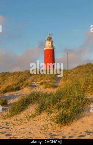 Eierland Leuchtturm in den Dünen am nördlichsten Punkt der niederländischen Insel Texel, Zeeland, Niederlande Stockfoto